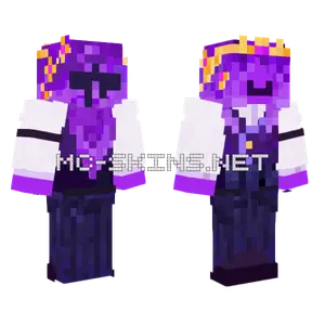 Purple Mage Robes