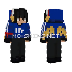 Quacks Minecraft skin