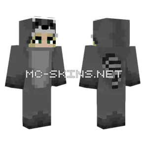 Raccoon Minecraft skin