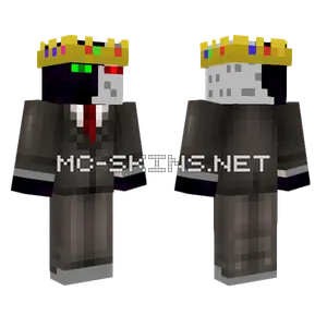Ranboo Minecraft skin