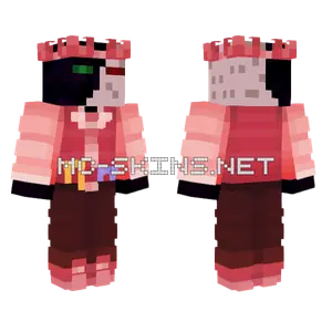 Ranboo Pink Parrots Minecraft skin