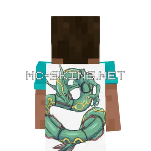 Rayquaza cape, outside and lining