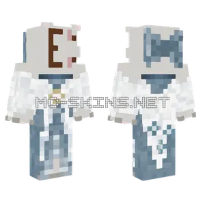 Realized Head Looked Stupid Minecraft skin