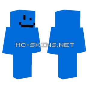 Red and Blue Blocks