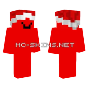 Red Santa Hat