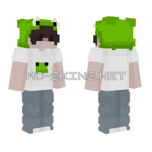 Ribbit Frog Boy Minecraft skin