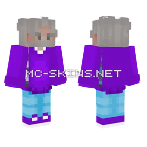 Robin Minecraft skin