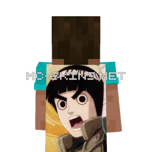 Rock Lee cape, outside and lining