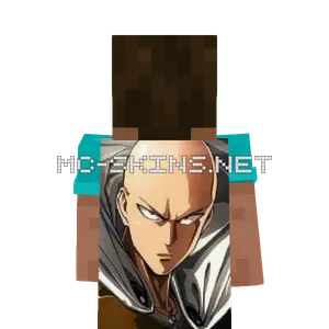 Saitama cape, outside and lining
