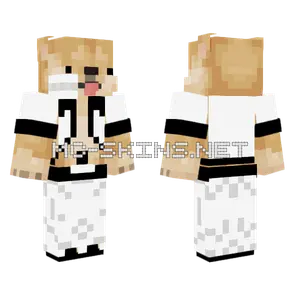 Shiba Inu Dog