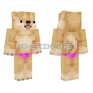 Shiba Inu Pet