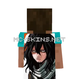 Shouta Aizawa cape, outside and lining