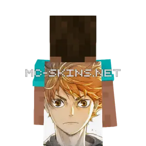 Shouyou Hinata cape, outside and lining
