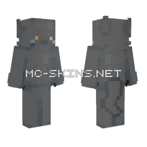 Silver CE Minecraft skin