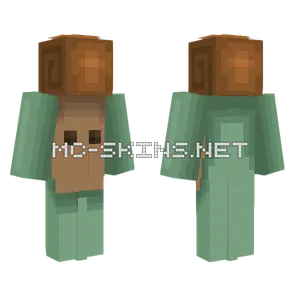 Snail Official Minecraft skin
