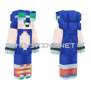 Sonic Riders Minecraft skin