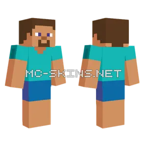Steve With Brown Hat Minecraft skin