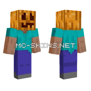 Steve With Pumpkin Head Minecraft skin