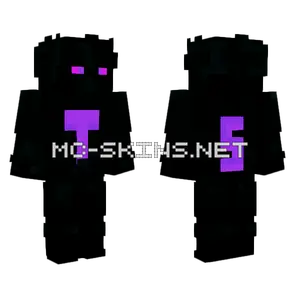 T 5 Skin Minecraft skin