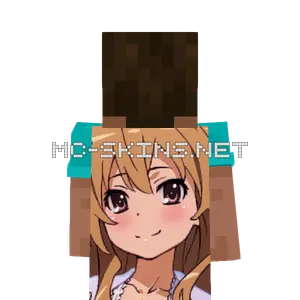 Taiga Aisaka cape, outside and lining