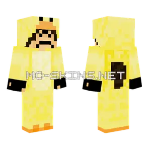The Raccoon Boy Duck Minecraft skin