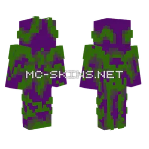 The What The Hell Prikoldas Skin Minecraft skin