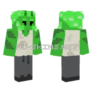 Thr Folv Oh Minecraft skin