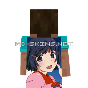 Tsubasa Hanekawa cape, outside and lining