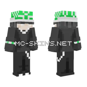 Turtle Hat Minecraft skin