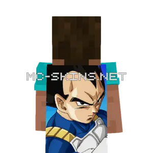 Vegeta cape, outside and lining