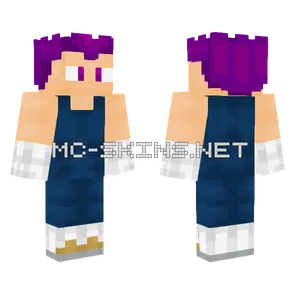 Vegeta Dios De La Destruccion2 Minecraft skin
