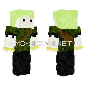 Waldlufer Meets Zoro Minecraft skin