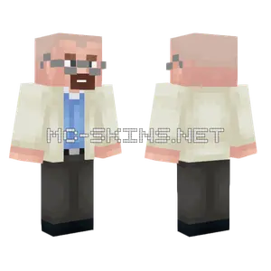 Walter White Minecraft skin