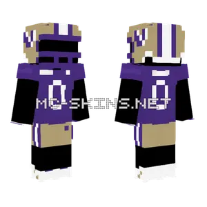 Washington Minecraft skin