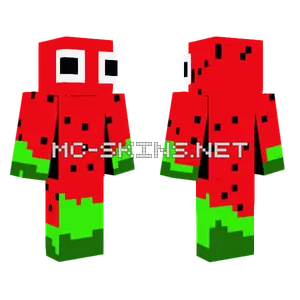 Watermelon Character