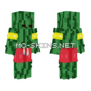 Watermelon Suit