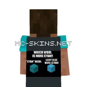 We NEED to rename the "Cyan" Wool" to "Teal cape, outside and lining