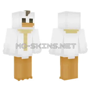 White and Gold Knight