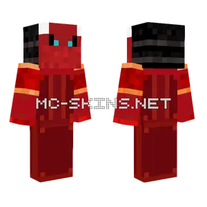 Wither Ninja Minecraft skin