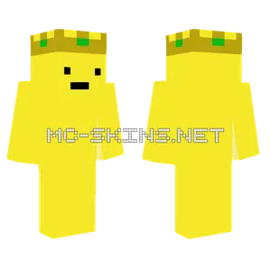 Yellow Sombrero Man