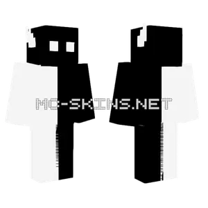 Yin Yang Ethan Minecraft skin