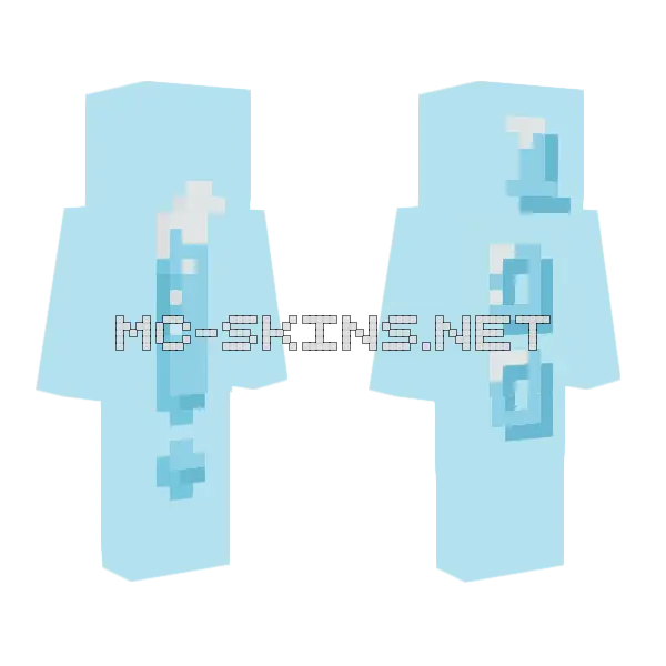 100 Followers Minecraft skin, front and back