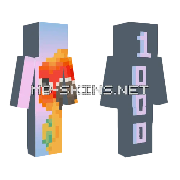 1000 Followers Minecraft skin, front and back