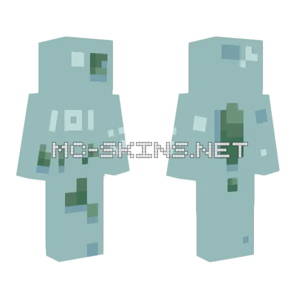 101 Followers D Minecraft skin, front and back