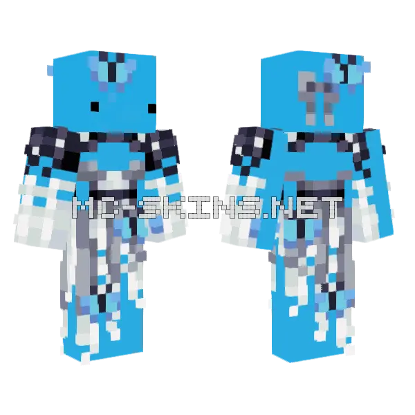 11angrytoast11 Minecraft skin, front and back