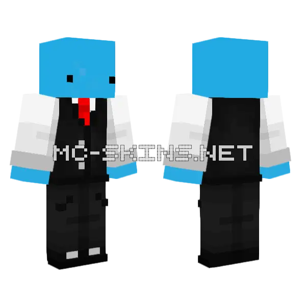 11angrytoast11 Minecraft skin, front and back
