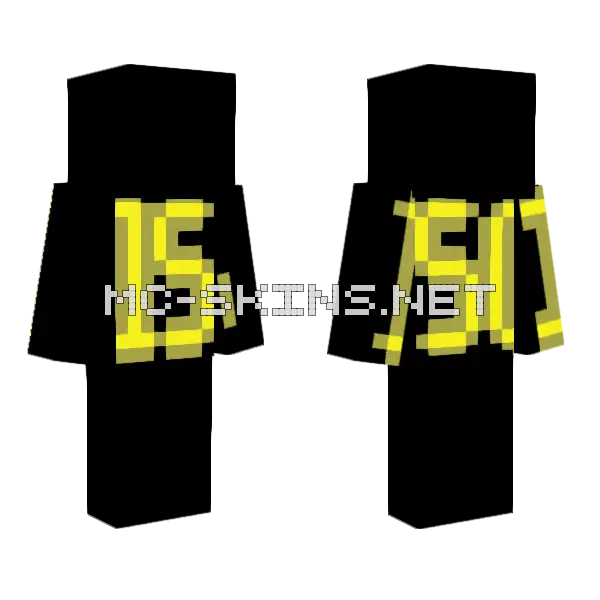 15 Followers 150 Likes Minecraft skin, front and back