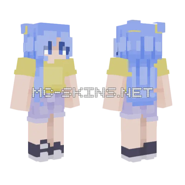 20 Followers Minecraft skin, front and back