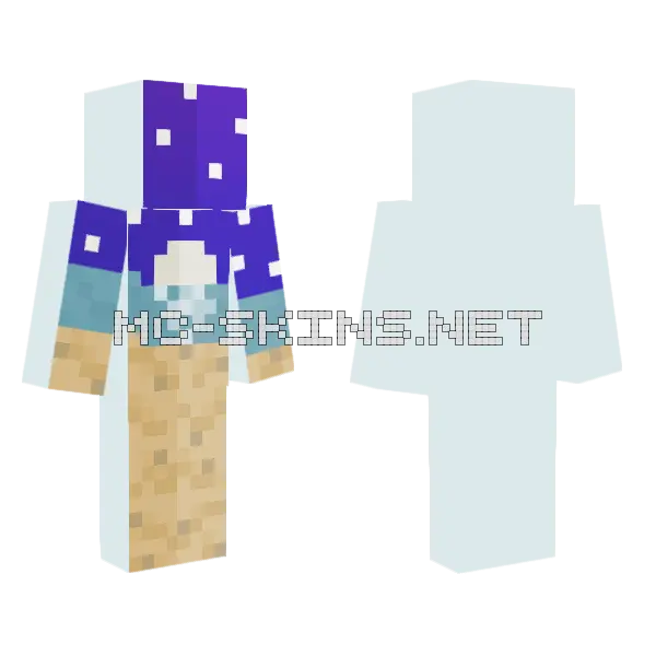 200 Followers Special Desc Minecraft skin, front and back