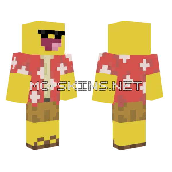 2011 Like Skin Minecraft skin, front and back